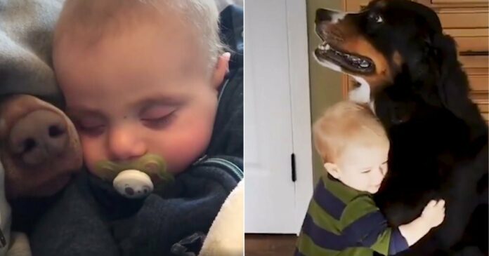 Több mint drága: A babák és a kutyák együtt felnövő videója mindenki szívét megolvasztja