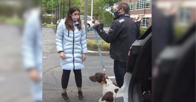 Az ellopott kutyáról beszámoló nő látja, hogy ugyanazt a kutyát sétáltatják az utcán, és gyorsan gondolkodik