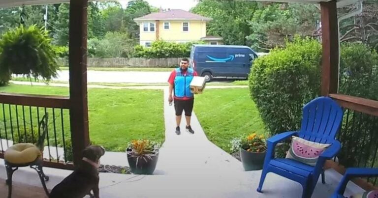 Ideges kézbesítő sofőr egészséges beszélgetést folytat pitbullal a verandán