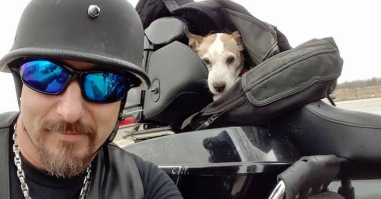 Motoros látja, hogy egy férfi kutyát ver az autópályán, ezért megmenti a kutyát, és új másodpilótájává teszi őt