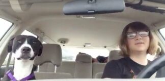 Egy nő és a kutyája élvezik a normális autózást. Aztán egy Michael Jackson dal kezd el szólni