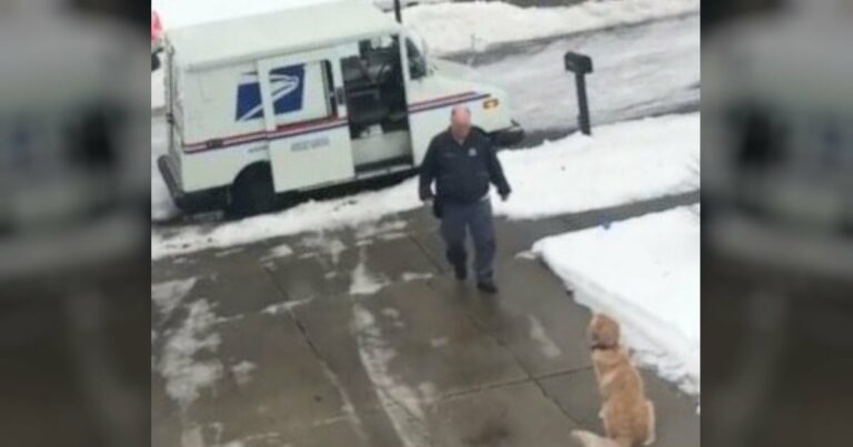 Anya filmezi a kutya felé sétáló postást, majd megörökíti a legszívszorítóbb jelenetet
