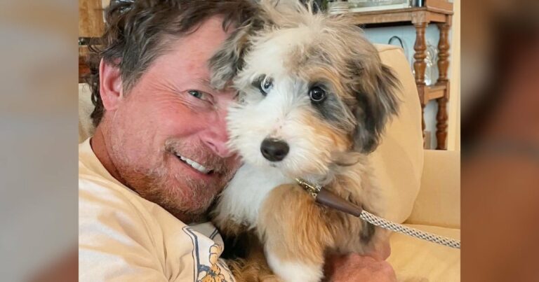Szeretett kutyája elvesztése után Michael J. Fox új “legjobb barátját” mutatja be a világnak